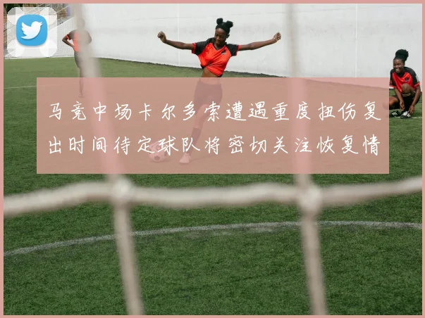 马竞中场卡尔多索遭遇重度扭伤复出时间待定球队将密切关注恢复情况